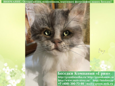 Куклы, Игрушки: Реалистичный Кот Ручной Работы